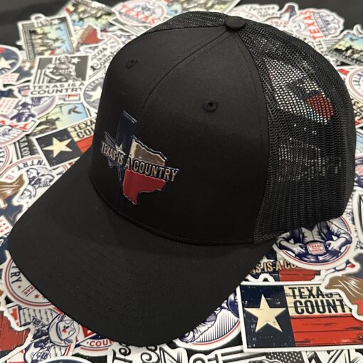 Metallic State Patch Hat - Image 7