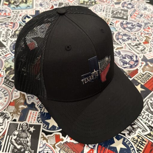 Metallic State Patch Hat - Image 5